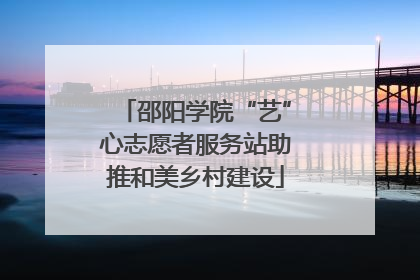 邵阳学院“艺”心志愿者服务站助推和美乡村建设