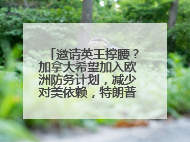 邀请英王撑腰？加拿大希望加入欧洲防务计划，减少对美依赖，特朗普：成为美国第51个州，免费用“金穹”