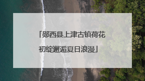 郧西县上津古镇荷花初绽邂逅夏日浪漫