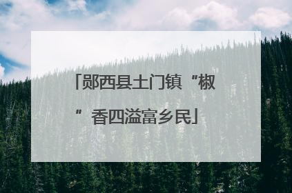 郧西县土门镇“椒”香四溢富乡民
