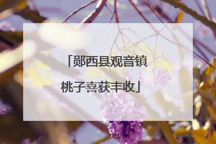 郧西县观音镇桃子喜获丰收