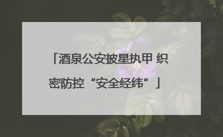 酒泉公安披星执甲 织密防控“安全经纬”