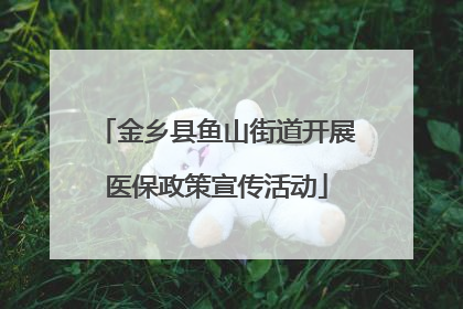 金乡县鱼山街道开展医保政策宣传活动