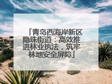 青岛西海岸新区隐珠街道：高效推进林业执法，筑牢林地安全屏障
