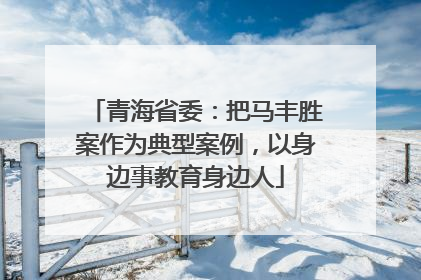 青海省委：把马丰胜案作为典型案例，以身边事教育身边人