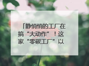静悄悄的工厂在搞“大动作”！这家“零碳工厂”以“三创三增”探索共富新路径｜网络名人四川行