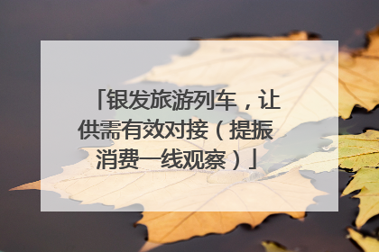银发旅游列车，让供需有效对接（提振消费一线观察）