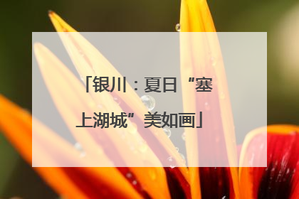 银川：夏日“塞上湖城”美如画