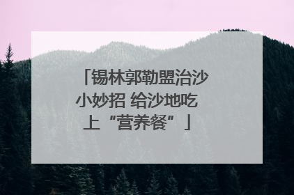 锡林郭勒盟治沙小妙招 给沙地吃上“营养餐”