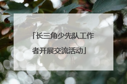 长三角少先队工作者开展交流活动