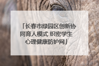 长春市绿园区创新协同育人模式 织密学生心理健康防护网