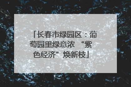 长春市绿园区：葡萄园里绿意浓 “紫色经济”焕新枝