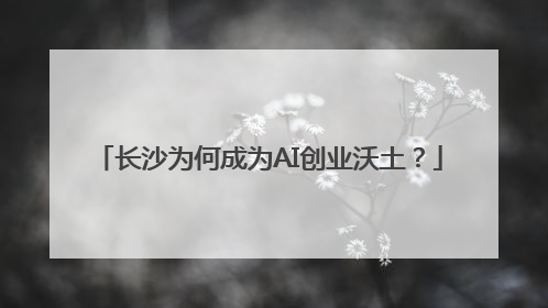 长沙为何成为AI创业沃土？