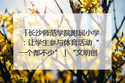 长沙师范学院附属小学：让学生参与体育活动“一个都不少”｜“文明创建耀三湘”专栏