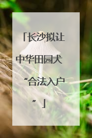长沙拟让中华田园犬“合法入户”