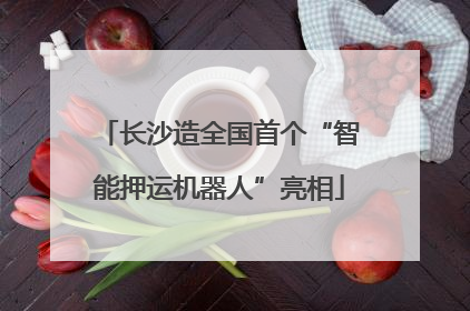 长沙造全国首个“智能押运机器人”亮相