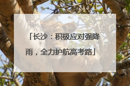 长沙：积极应对强降雨，全力护航高考路