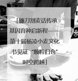 镰刀割麦话传承 基因育种启新程——第十届杨凌小麦文化节见证“颗粒归仓”时空跨越