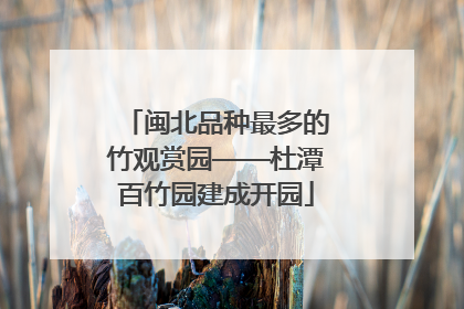闽北品种最多的竹观赏园——杜潭百竹园建成开园