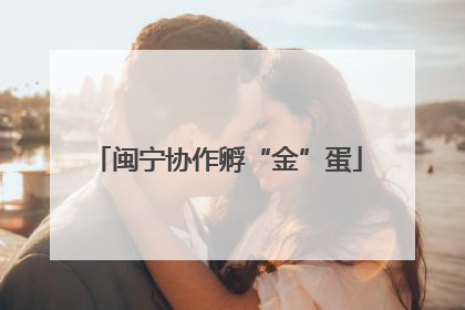 闽宁协作孵“金”蛋