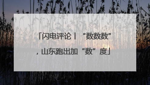 闪电评论丨“数数数”，山东跑出加“数”度