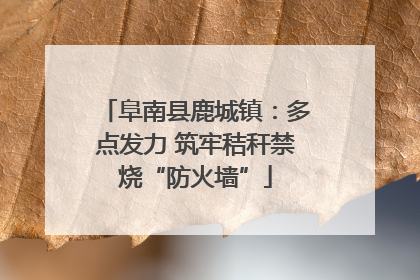 阜南县鹿城镇：多点发力 筑牢秸秆禁烧“防火墙”