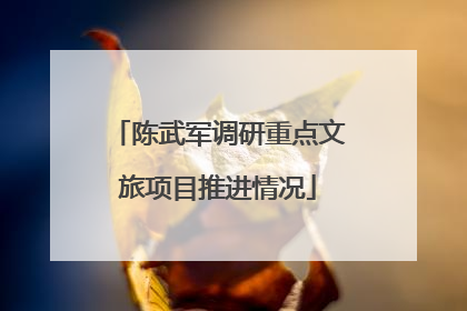 陈武军调研重点文旅项目推进情况