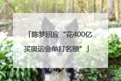 陈梦回应“花400亿买奥运会单打名额”