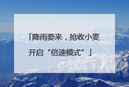 降雨要来，抢收小麦开启“倍速模式”