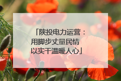 陕投电力运营：用脚步丈量民情 以实干温暖人心