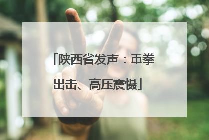 陕西省发声：重拳出击、高压震慑