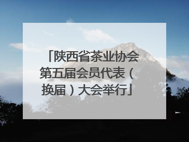 陕西省茶业协会第五届会员代表（换届）大会举行