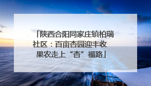 陕西合阳同家庄镇柏瑞社区：百亩杏园迎丰收 果农走上“杏”福路