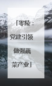零陵：党建引领 做强蔬菜产业