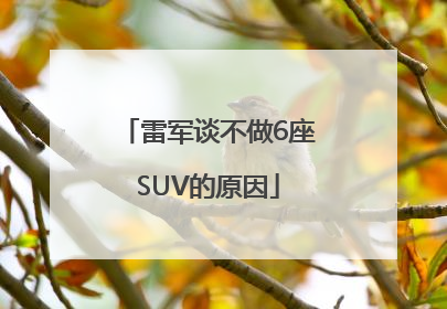 雷军谈不做6座SUV的原因