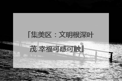 集美区：文明根深叶茂 幸福可感可触