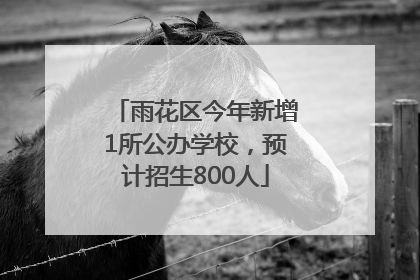 雨花区今年新增1所公办学校，预计招生800人