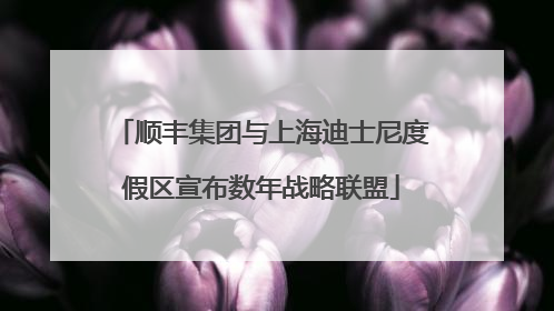 顺丰集团与上海迪士尼度假区宣布数年战略联盟