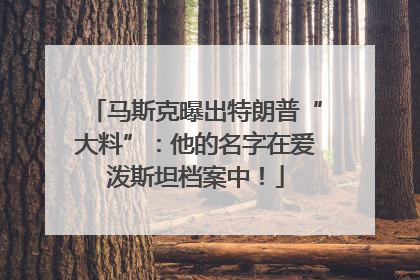 马斯克曝出特朗普“大料”：他的名字在爱泼斯坦档案中！