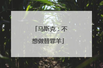 马斯克：不想做替罪羊