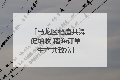 马龙区稻渔共舞促增收 稻渔订单生产共致富