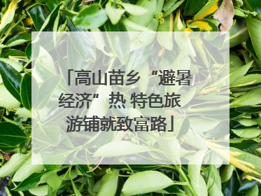 高山苗乡“避暑经济”热 特色旅游铺就致富路