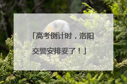 高考倒计时，洛阳交警安排妥了！
