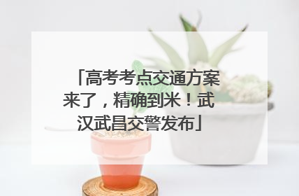 高考考点交通方案来了，精确到米！武汉武昌交警发布
