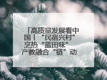 高质量发展看中国丨“民宿兴村”烹热“蓝田味” 产教融合“链”动发展新引擎