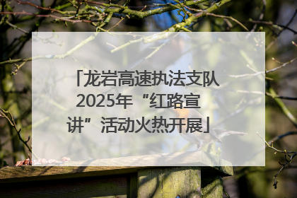 龙岩高速执法支队2025年“红路宣讲”活动火热开展