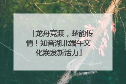龙舟竞渡，楚韵传情！知音湖北端午文化焕发新活力