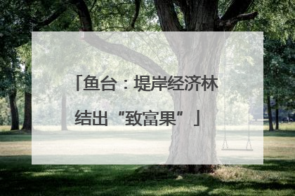 鱼台：堤岸经济林结出“致富果”