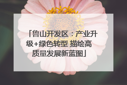 鲁山开发区：产业升级+绿色转型 描绘高质量发展新蓝图