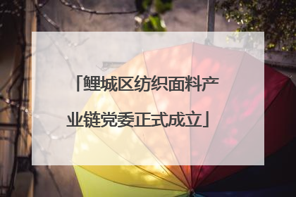 鲤城区纺织面料产业链党委正式成立